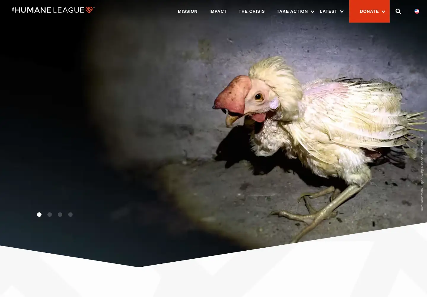Captured homepage of thehumaneleague.com in the current scan