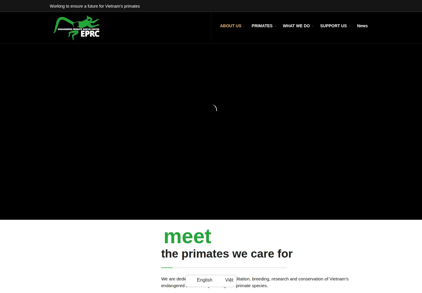 Captured homepage of primatecenter.org in the current scan