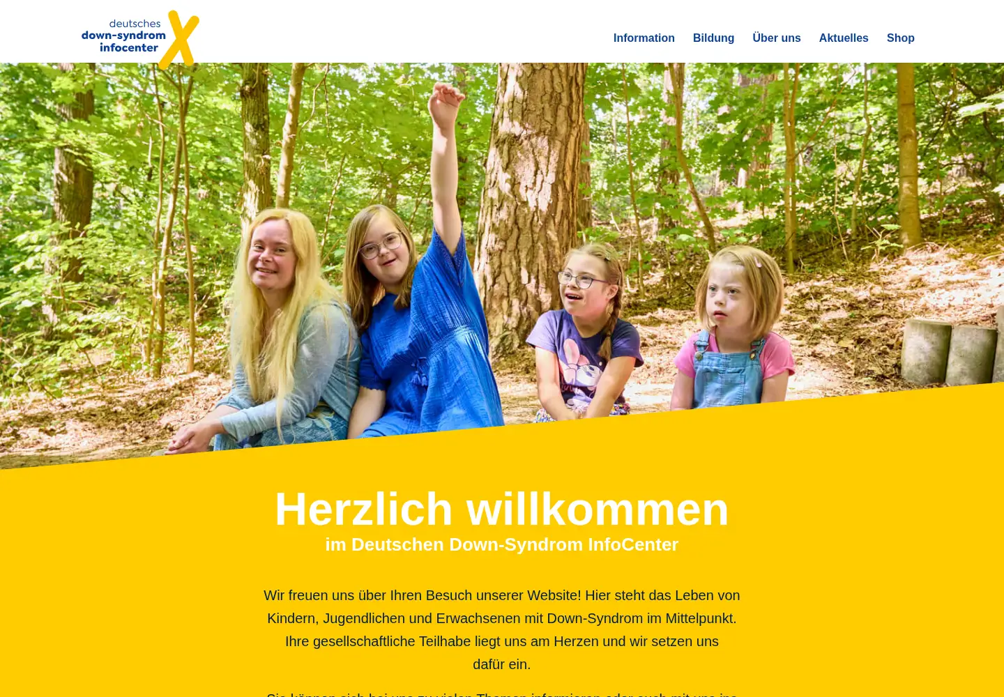 Screenshot of ds-infocenter.de