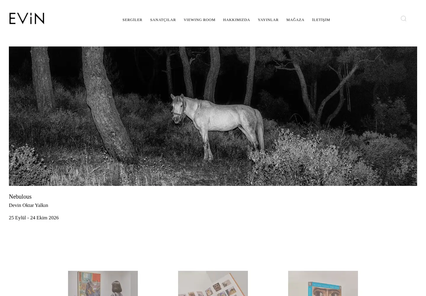 Captured homepage of evin-art.com in the current scan