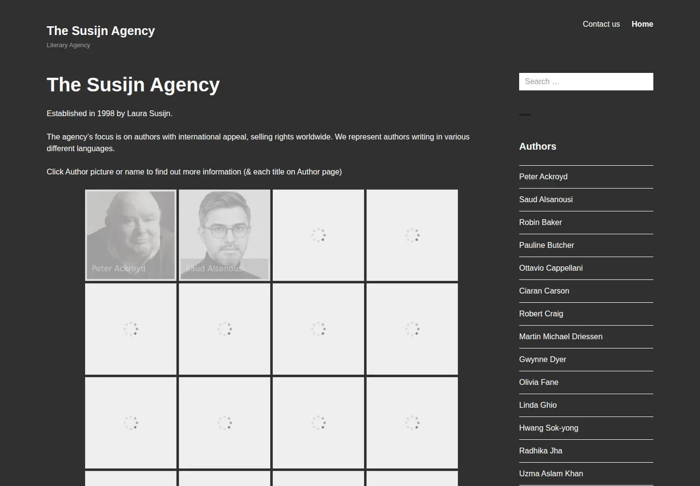 Screenshot of thesusijnagency.com