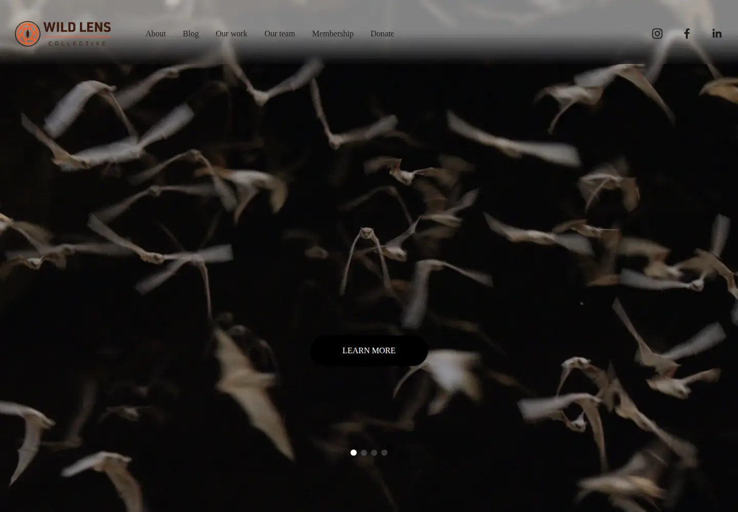 Screenshot of wildlensinc.org