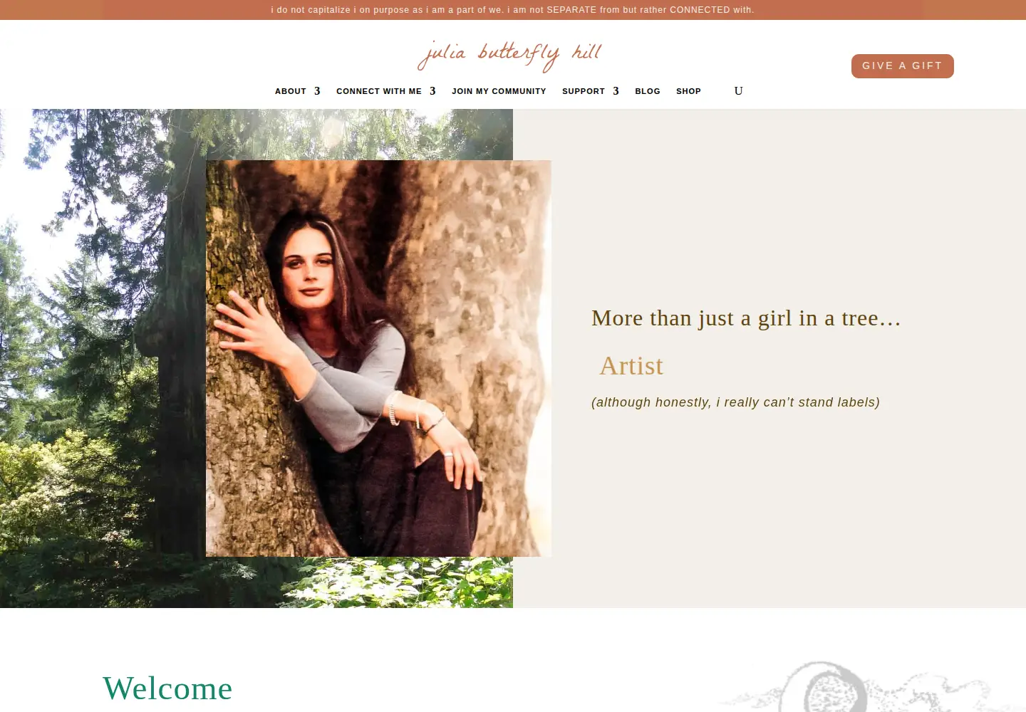 Screenshot of juliabutterflyhill.com