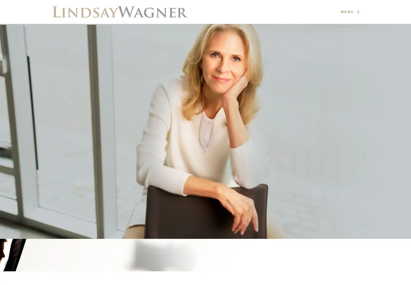 Screenshot of lindsaywagner.com