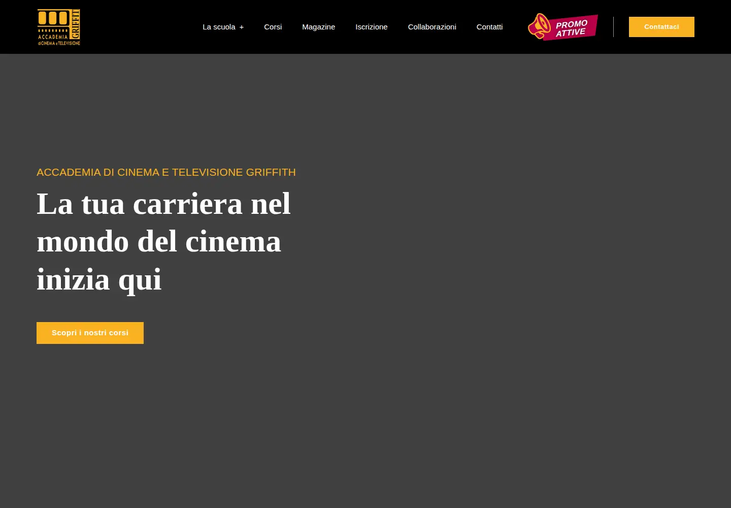 Screenshot of griffithduemila.com
