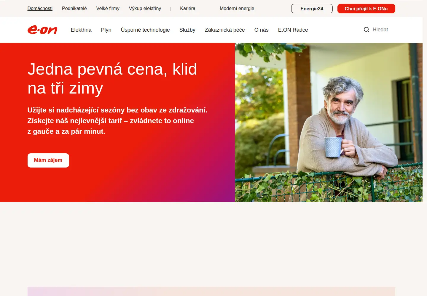 Captured homepage of eon.cz in the current scan