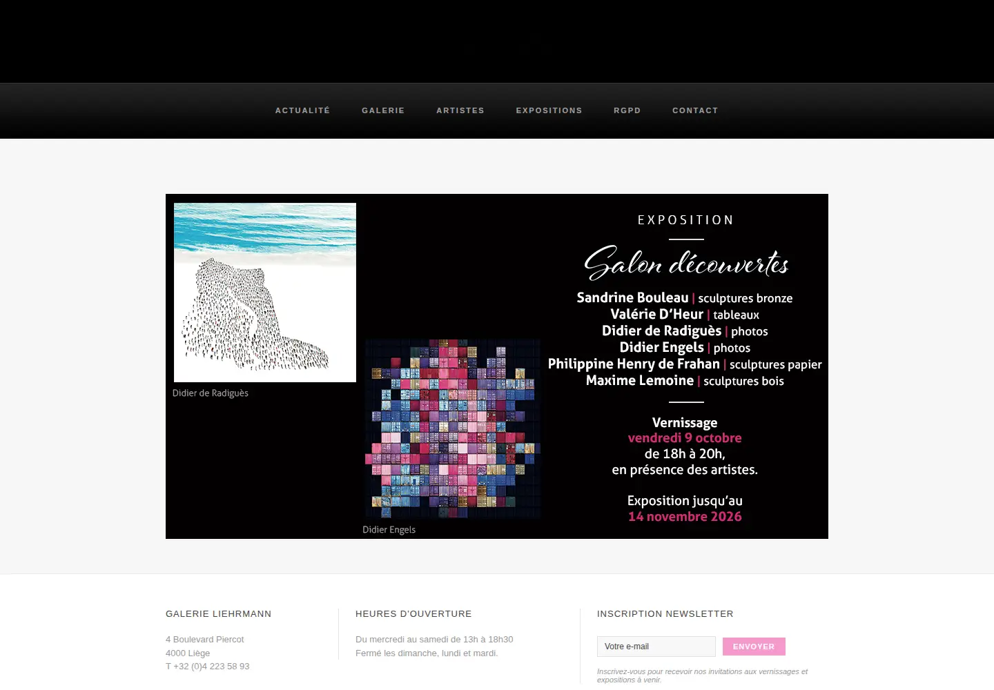 Screenshot of galerie-liehrmann.be