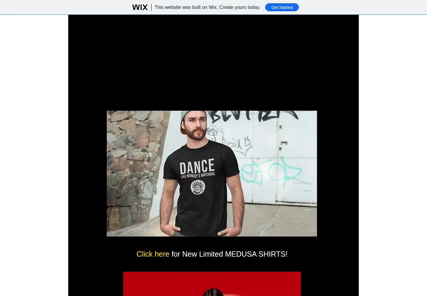 Screenshot of medusachicago.com