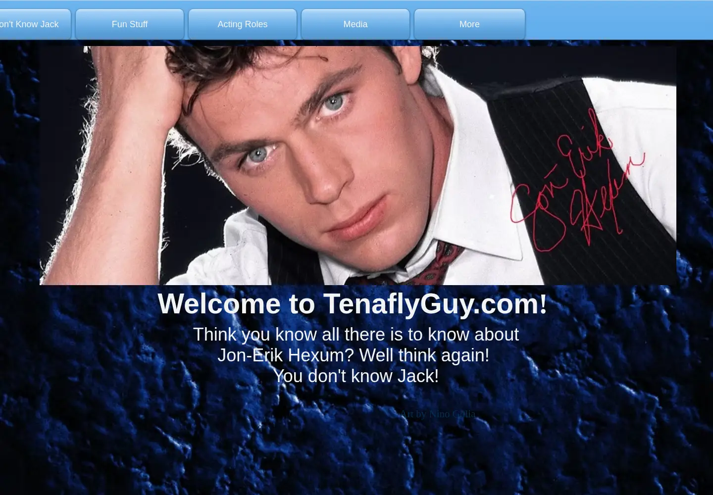 Screenshot of tenaflyguy.com