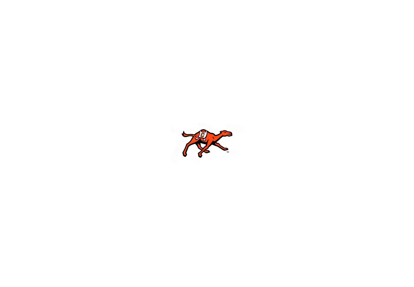 Screenshot of gocamels.com