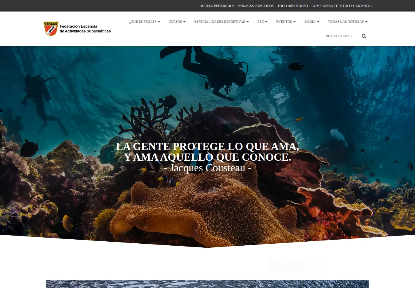 Captured homepage of fedas.es in the current scan