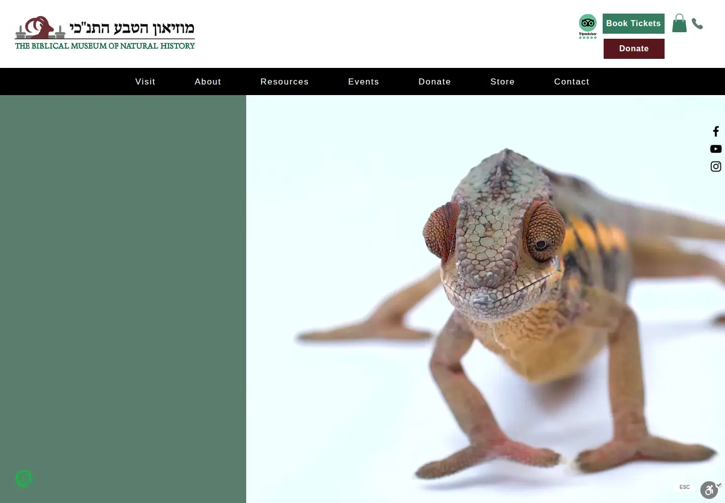 Screenshot of biblicalnaturalhistory.org