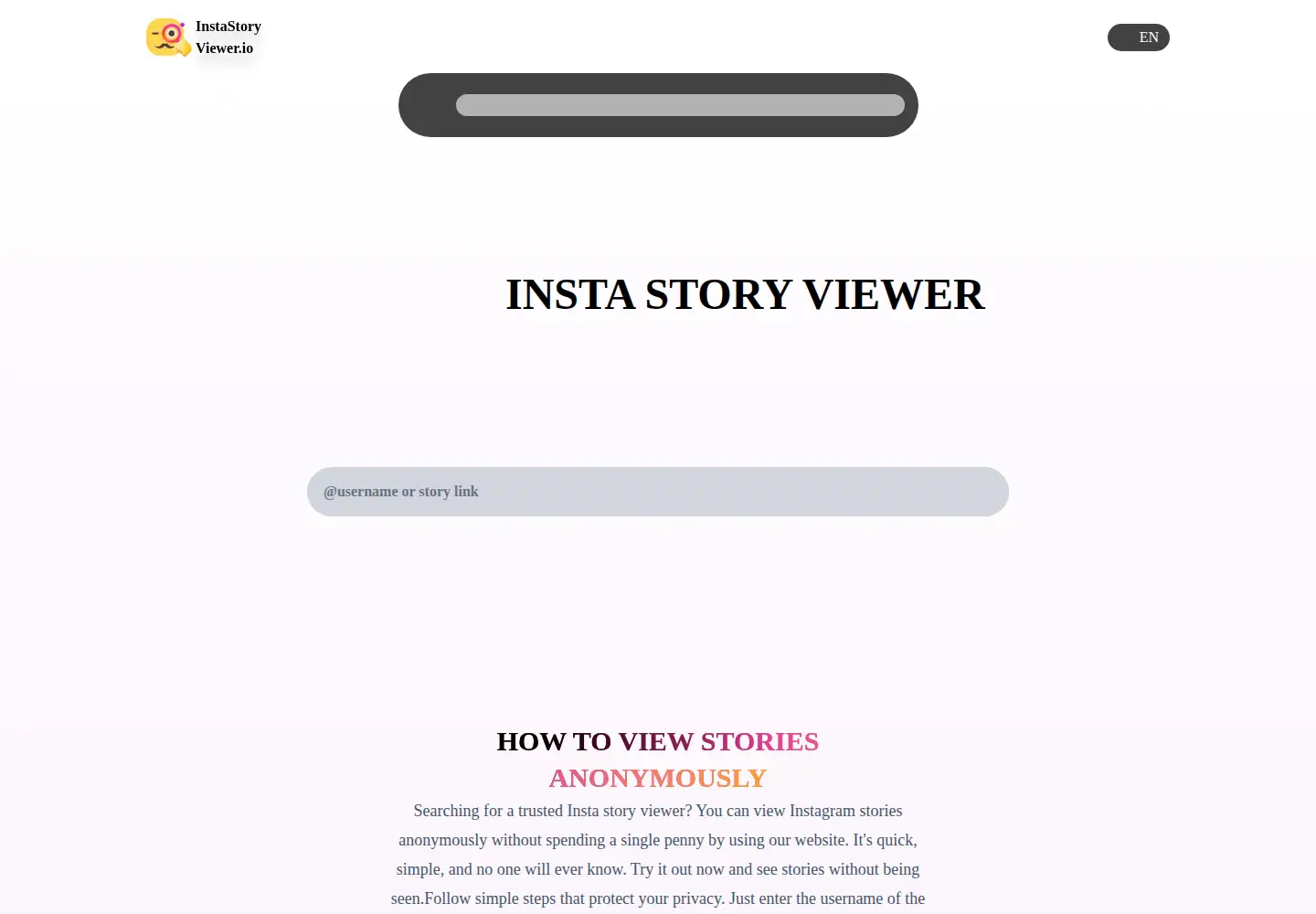 Screenshot of instastoryviewer.io