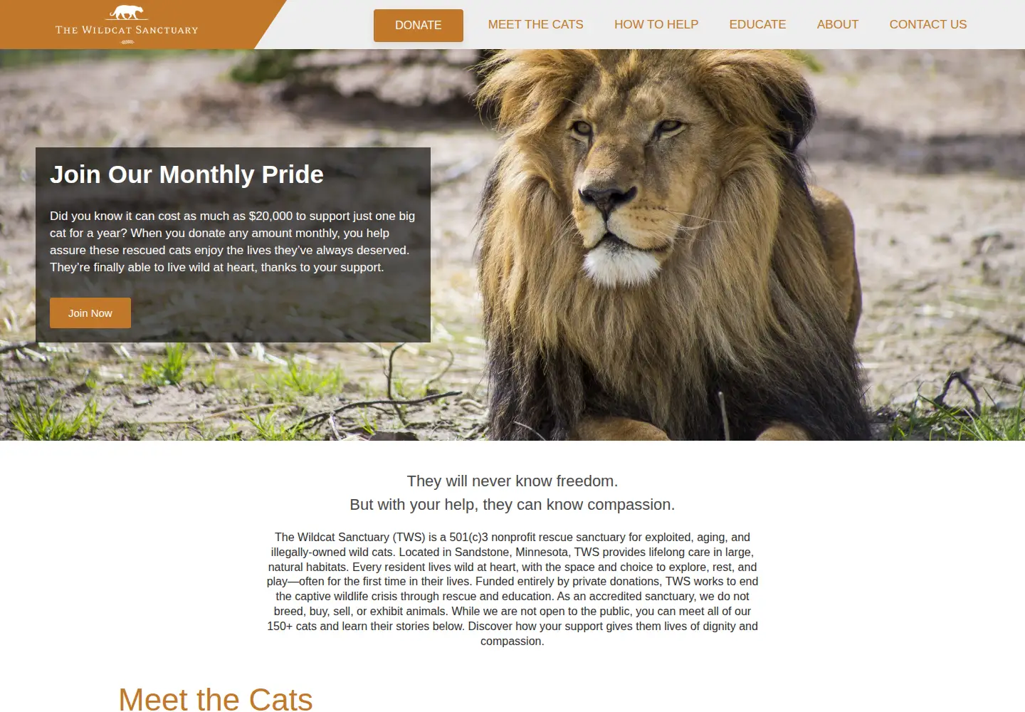 Screenshot of wildcatsanctuary.org