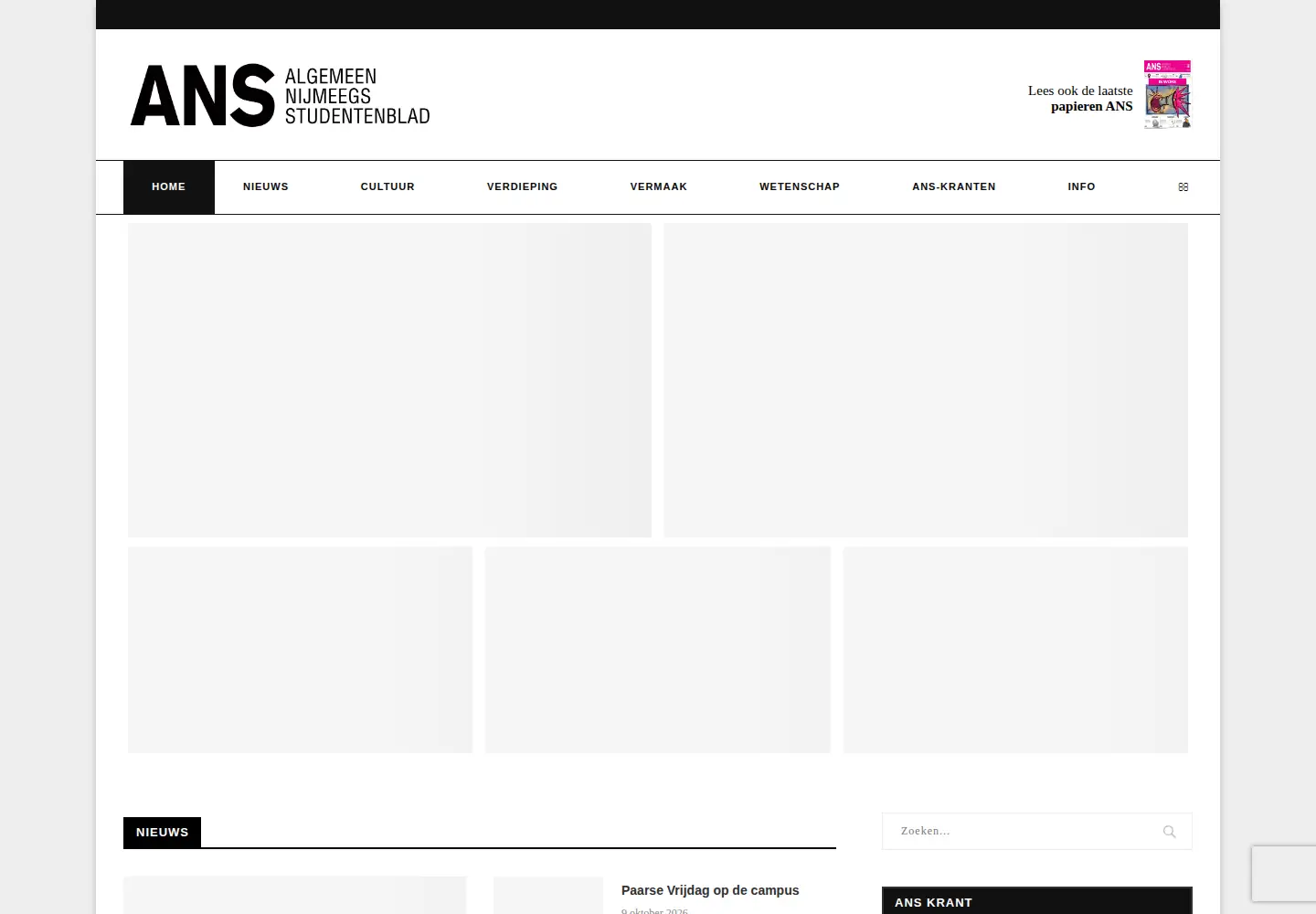 Screenshot of ans-online.nl