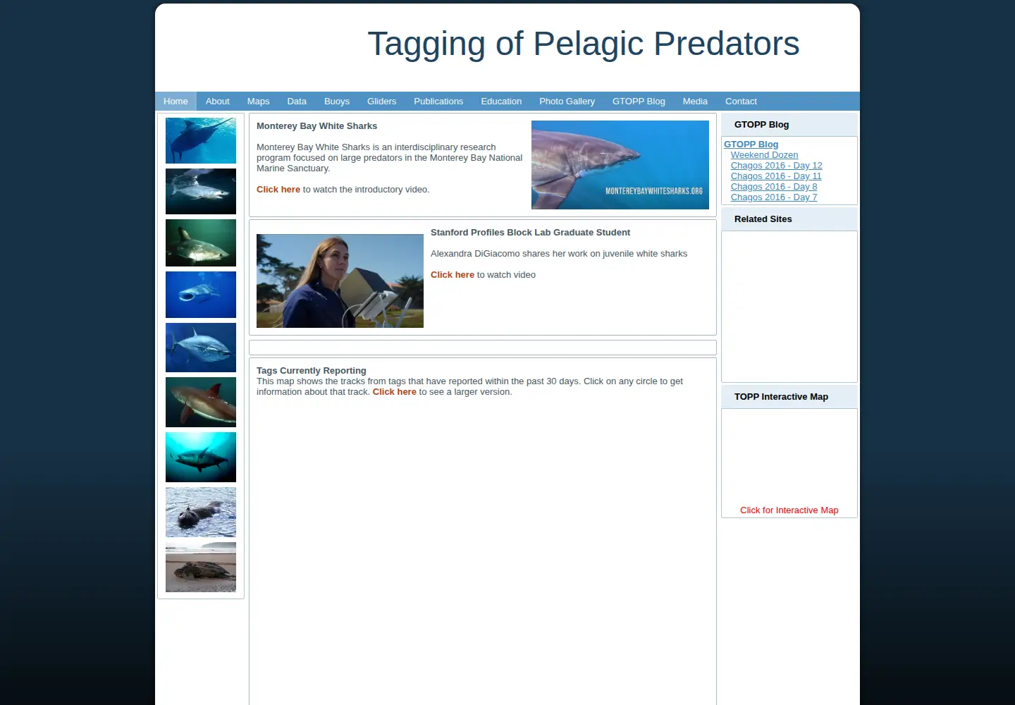 Screenshot of topp.org