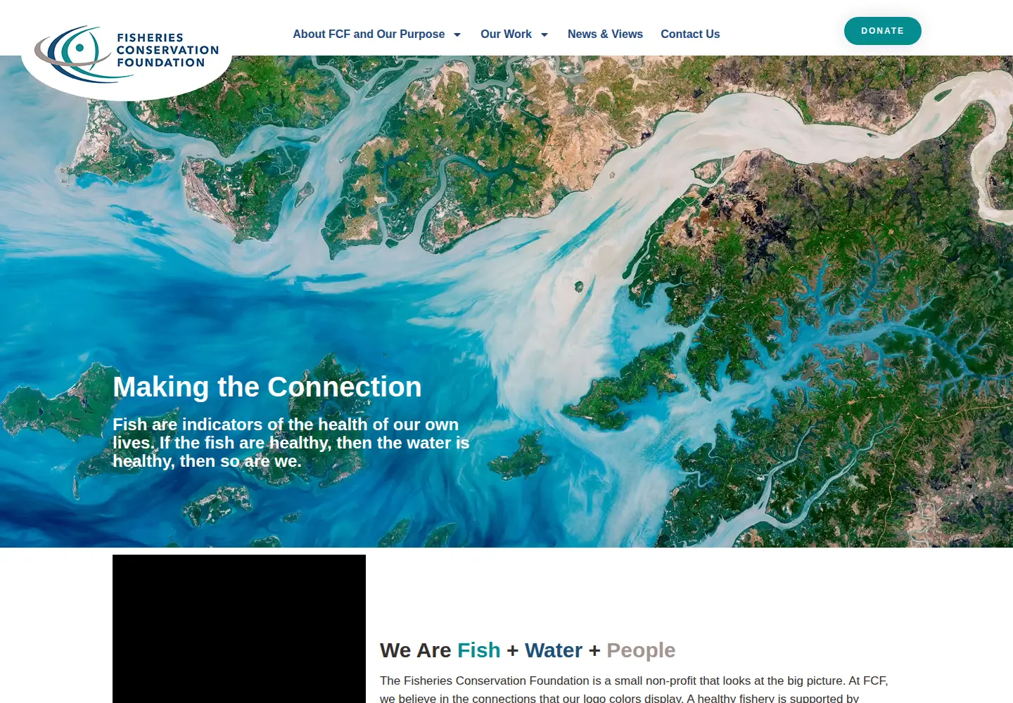 Captured homepage of fishconserve.org in the current scan