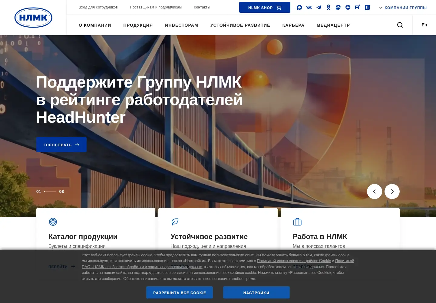 Screenshot of nlmk.com