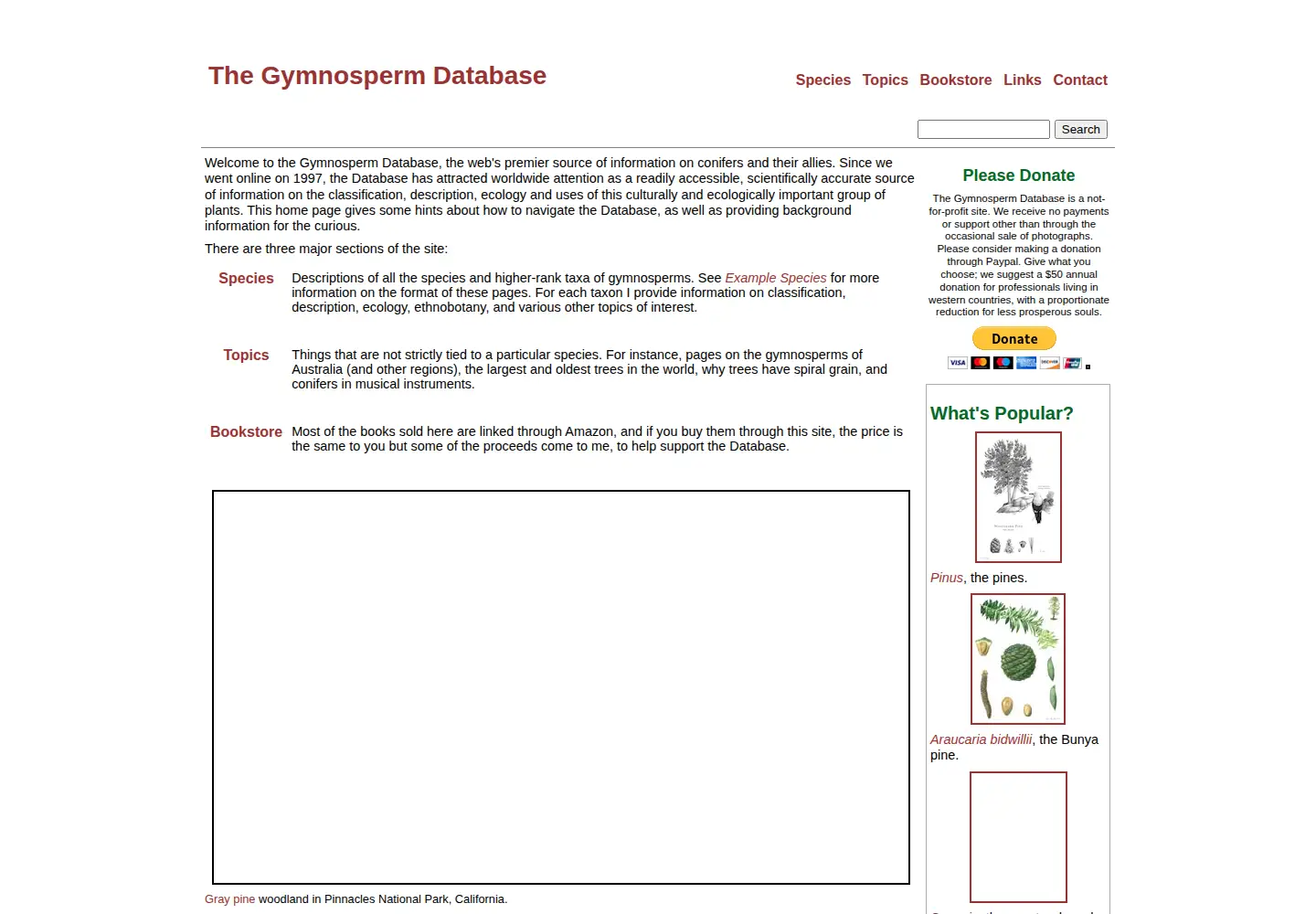 Screenshot of conifers.org