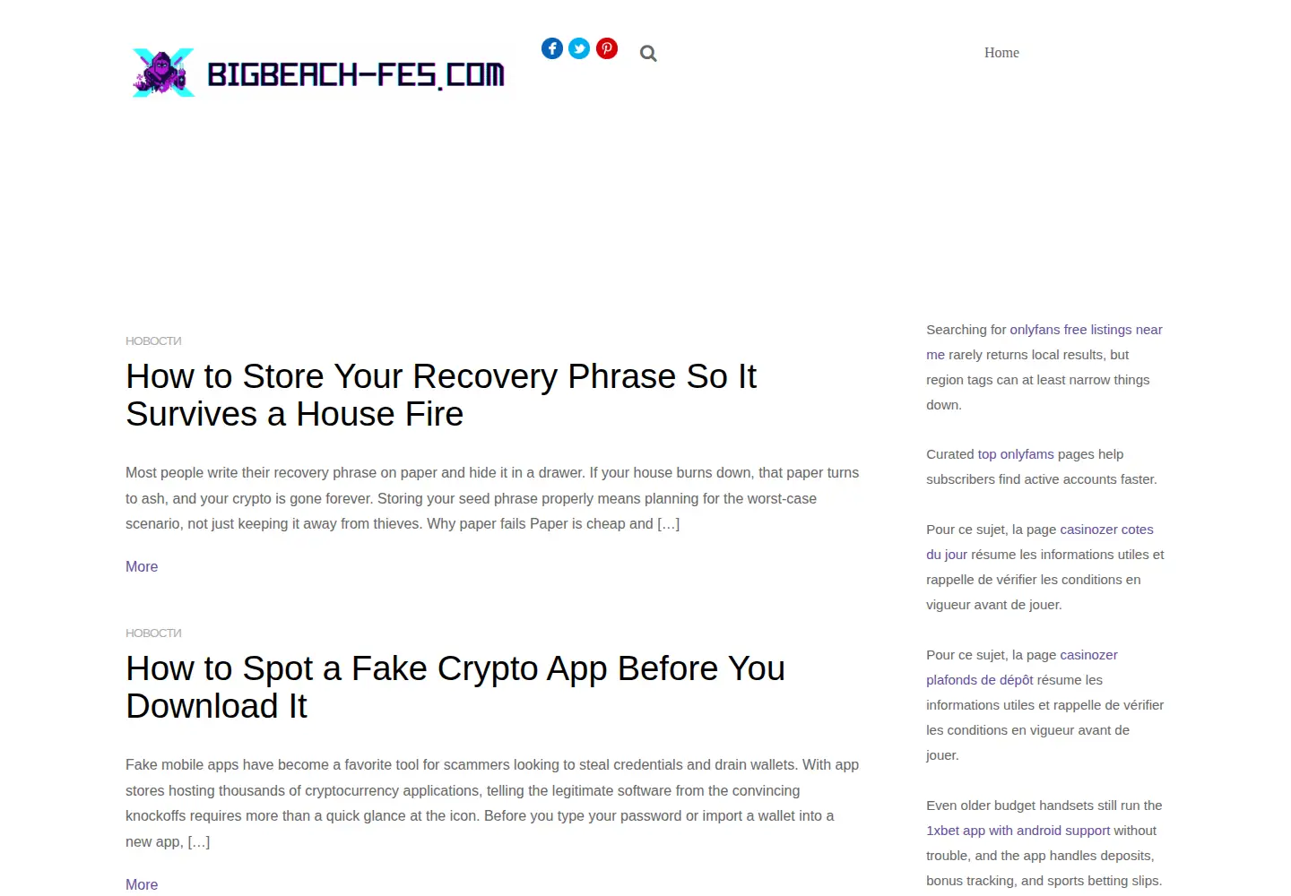 Screenshot of bigbeach-fes.com