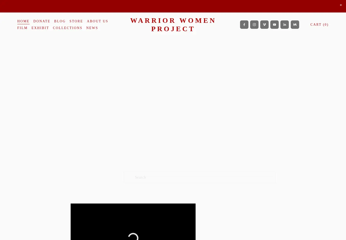 Screenshot of warriorwomen.org