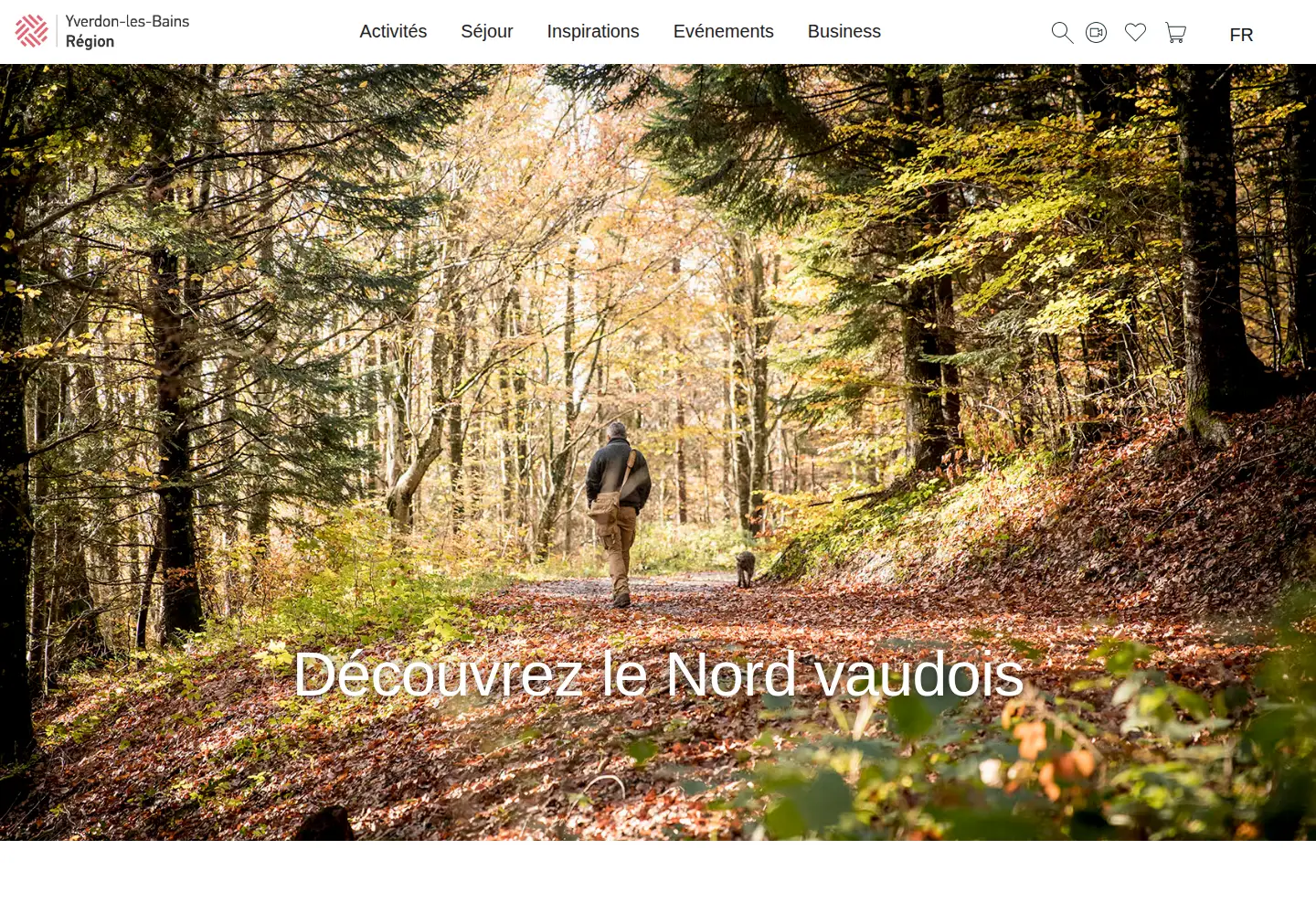 Screenshot of yverdonlesbainsregion.ch