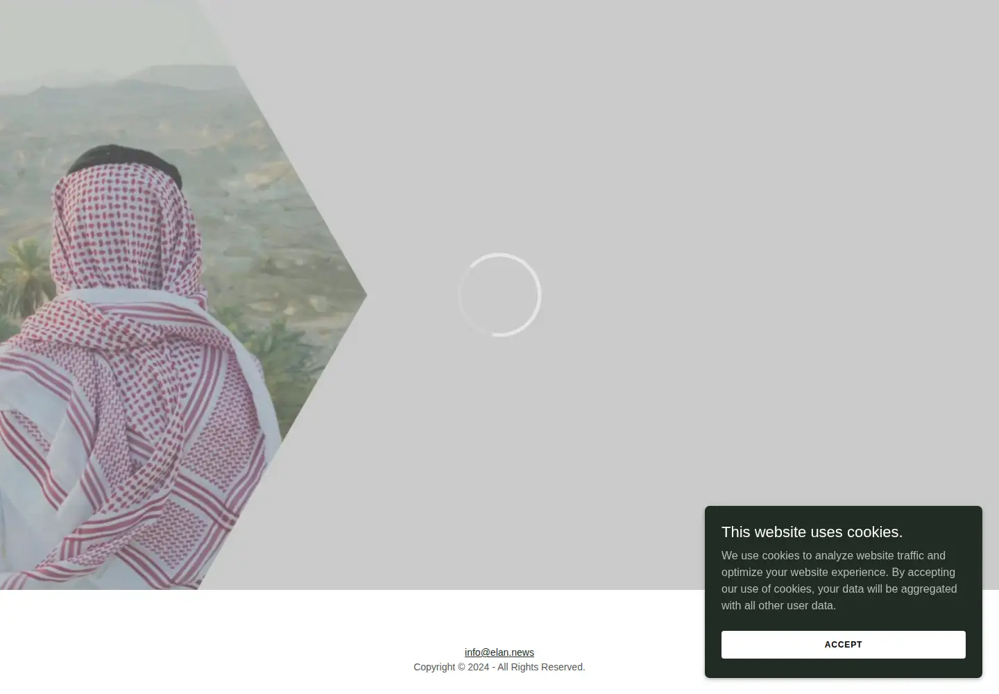Captured homepage of elanthemag.com in the current scan