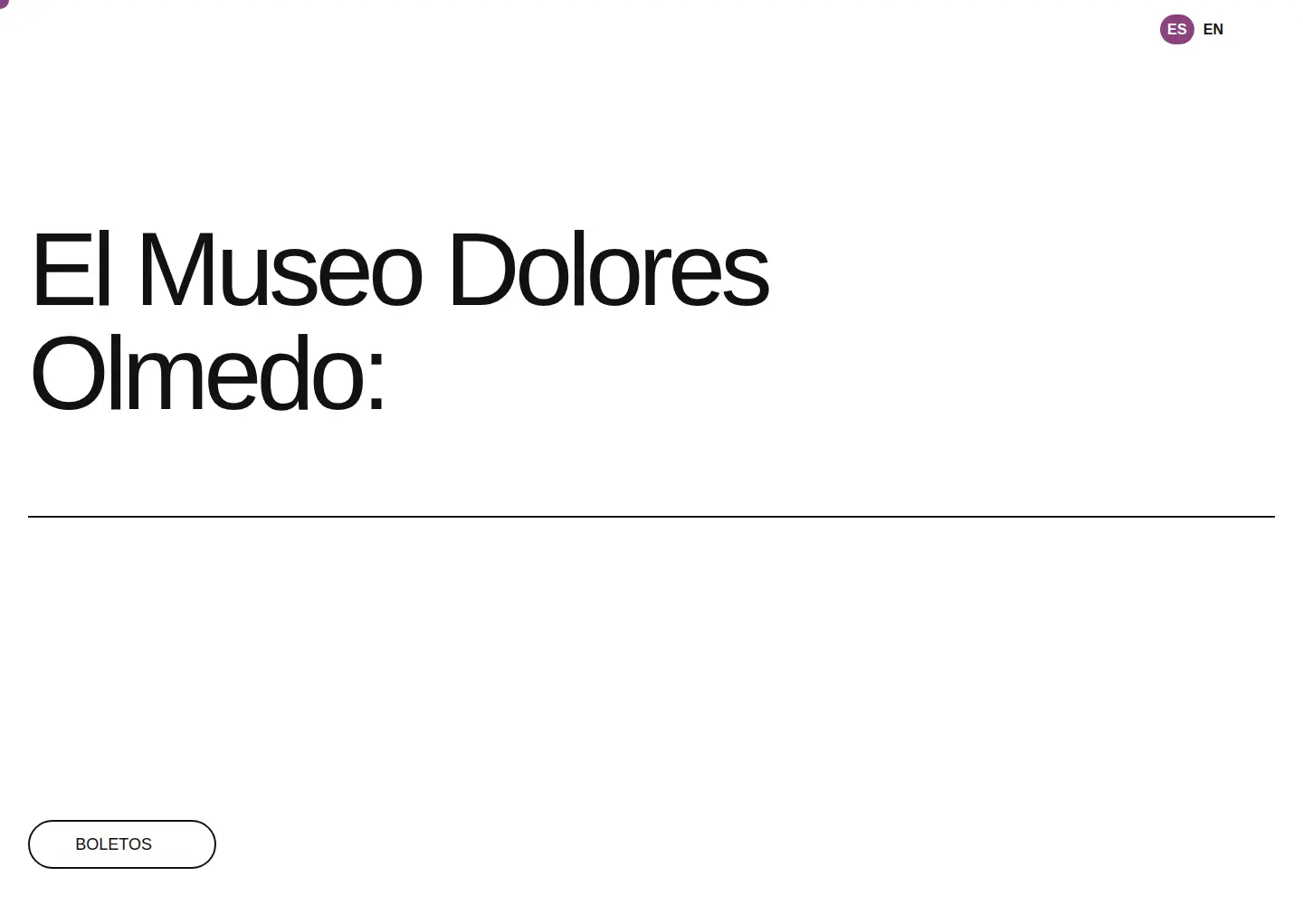 Screenshot of museodoloresolmedo.org.mx