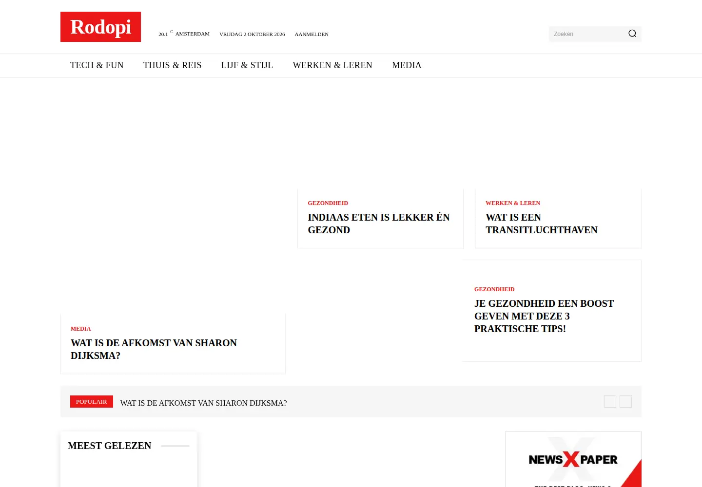 Screenshot of rodopi.nl