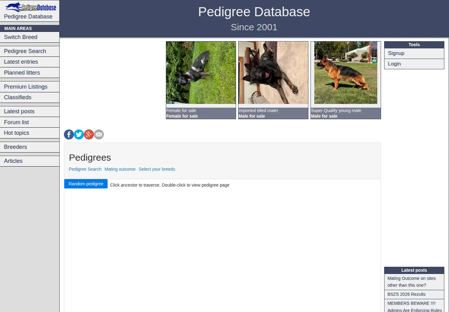 Screenshot of pedigreedatabase.com