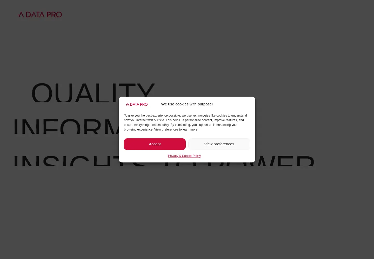 Screenshot of aiidatapro.com