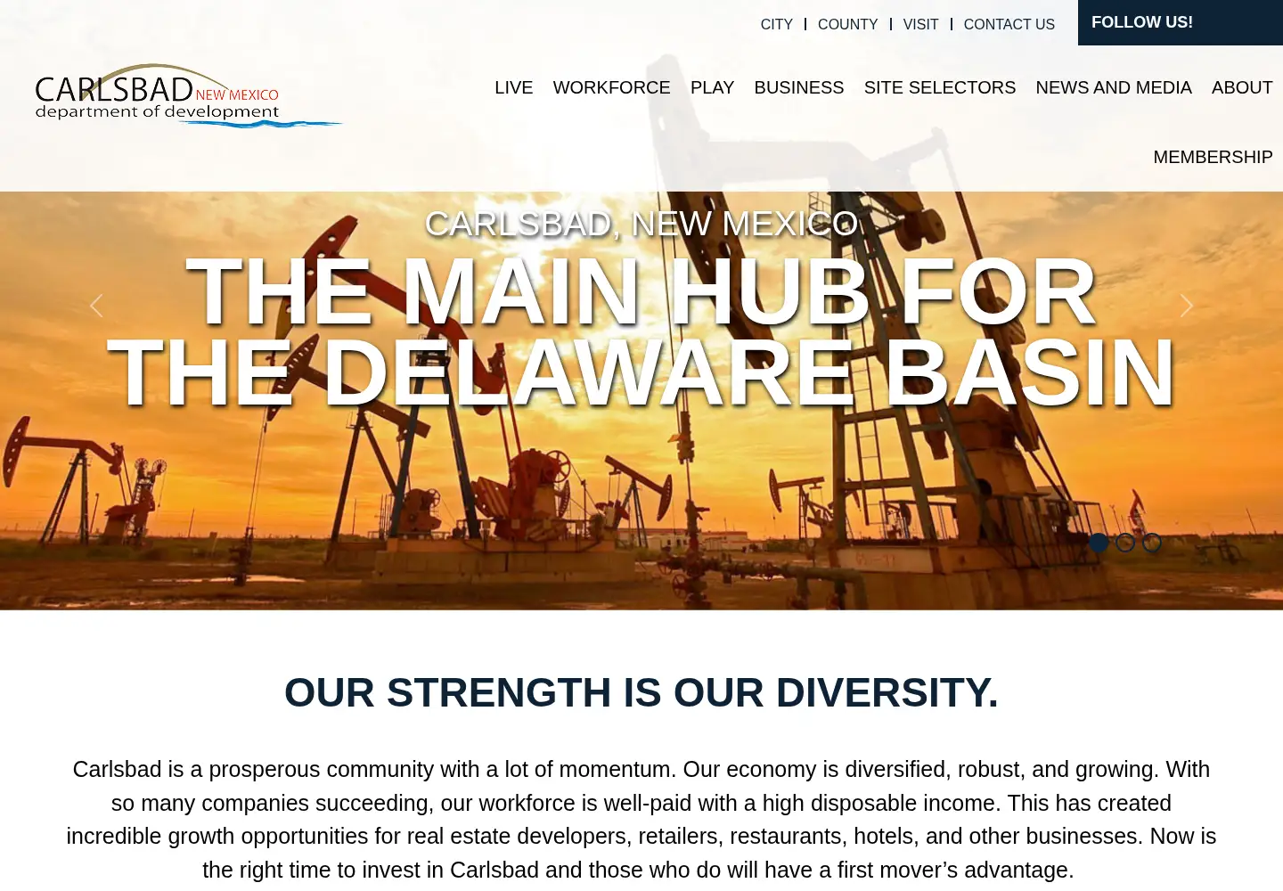 Screenshot of developcarlsbad.org