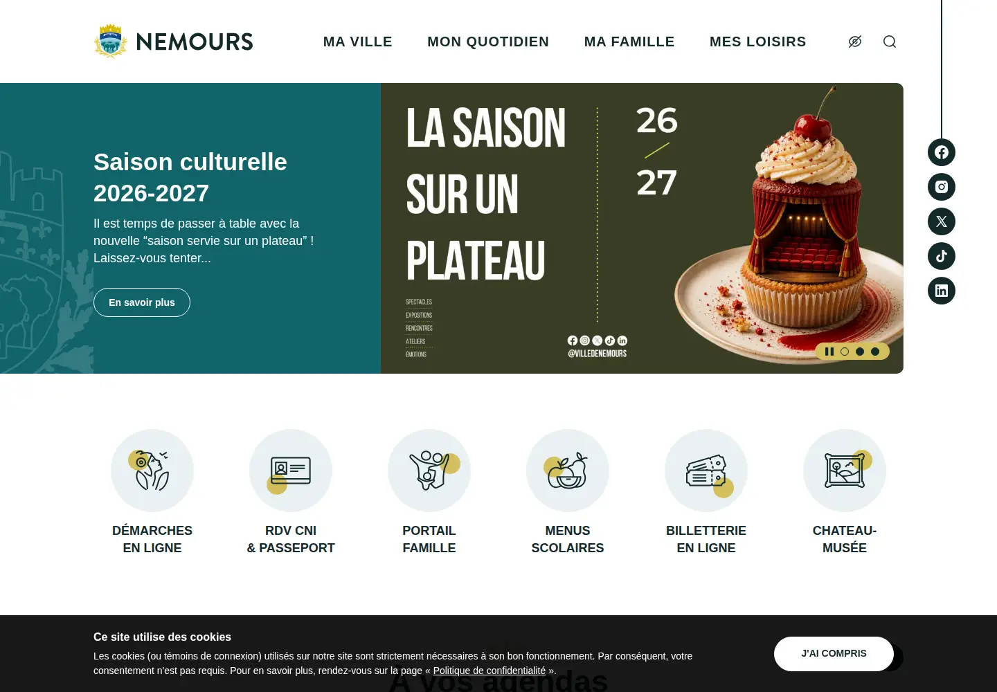 Screenshot of nemours.fr