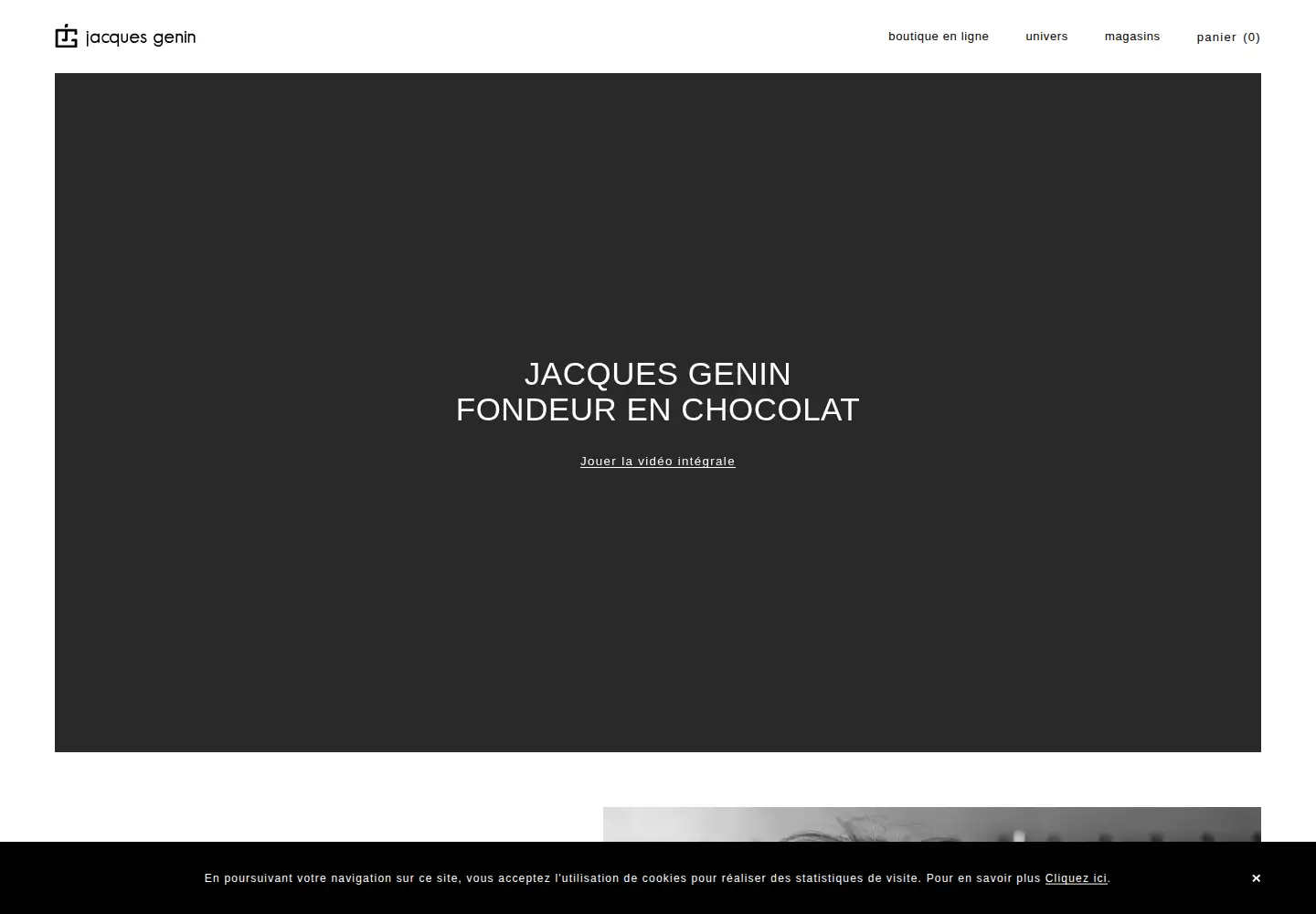Screenshot of jacquesgenin.fr