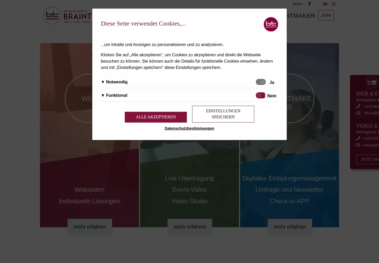 Captured homepage of braintrust.at in the current scan
