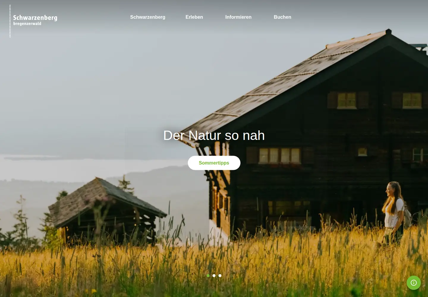 Screenshot of schwarzenberg.at