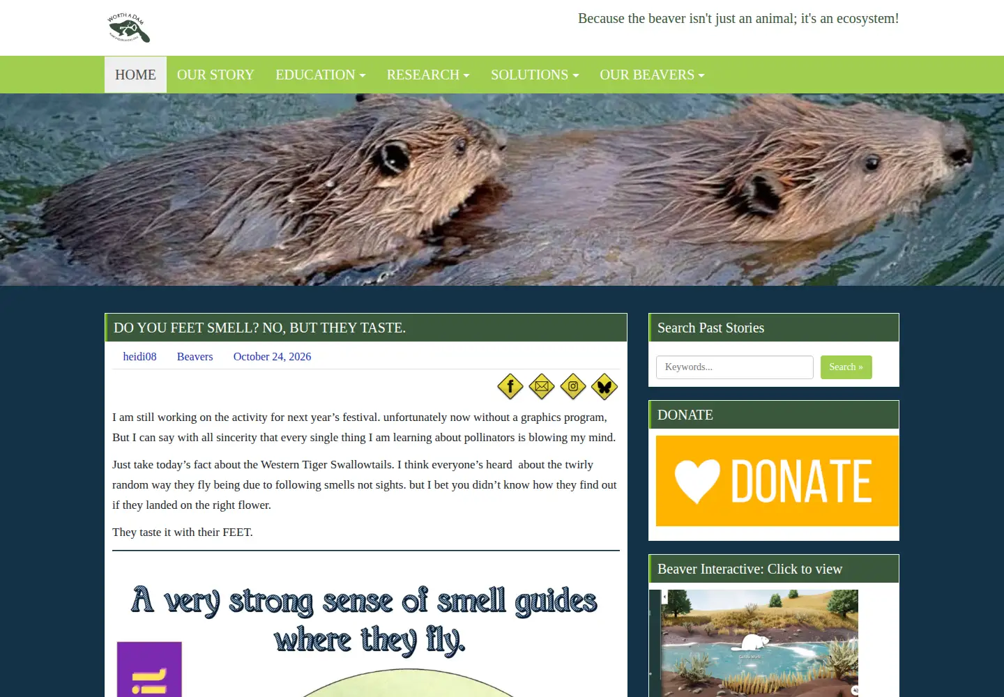 Screenshot of martinezbeavers.org