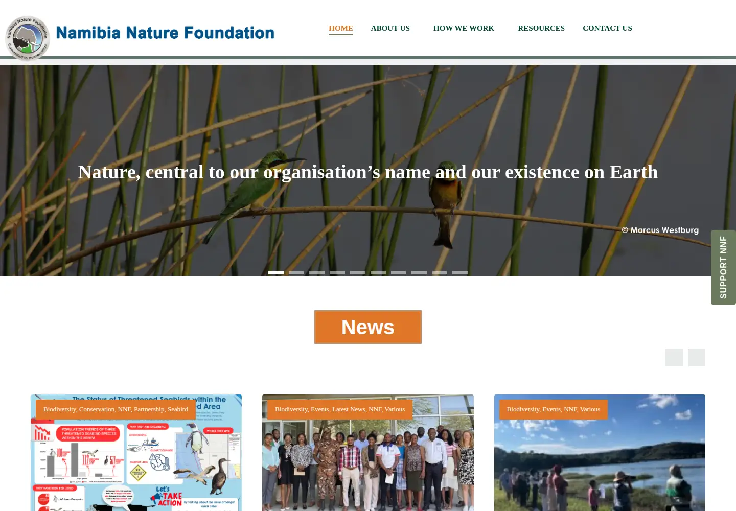 Captured homepage of nnf.org.na in the current scan