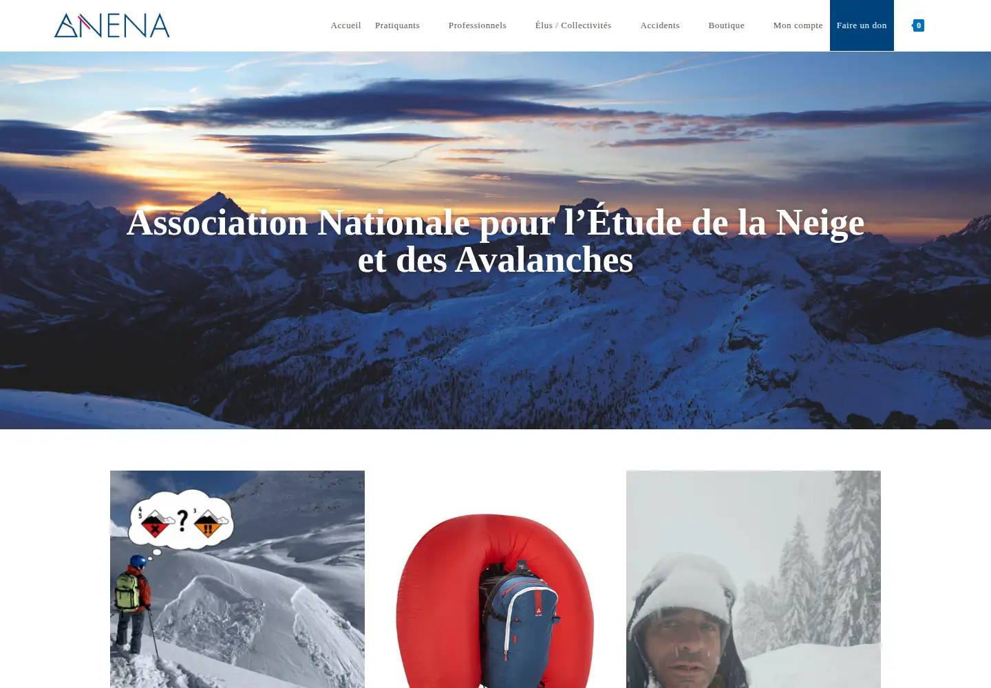 Screenshot of anena.org
