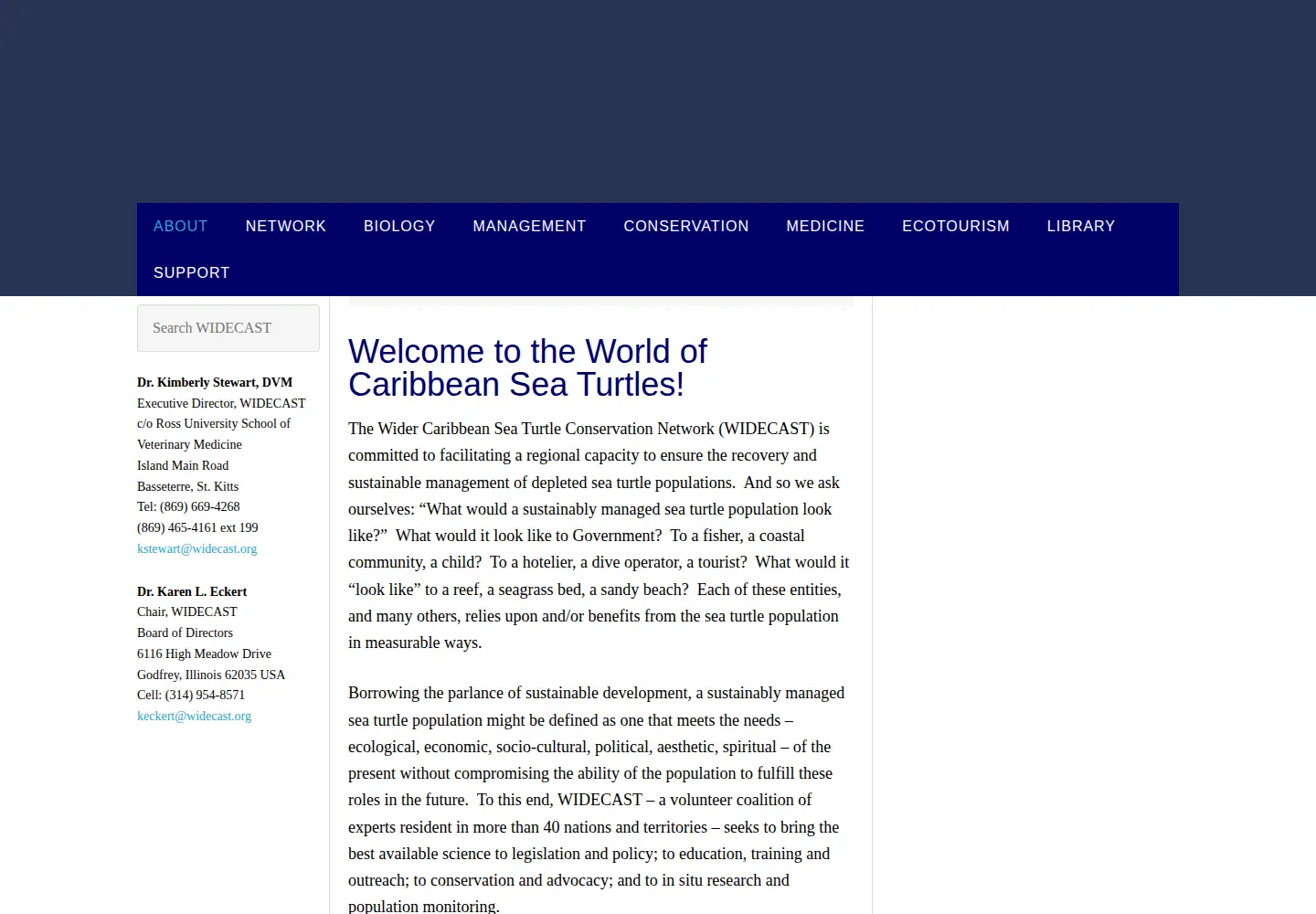 Captured homepage of widecast.org in the current scan