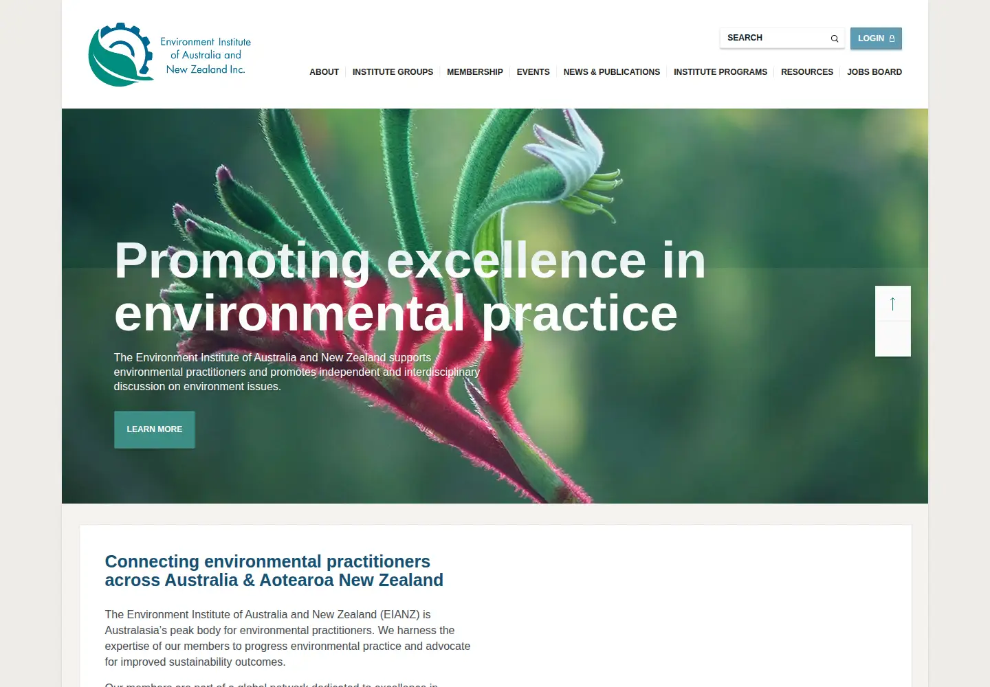 Captured homepage of eianz.org in the current scan