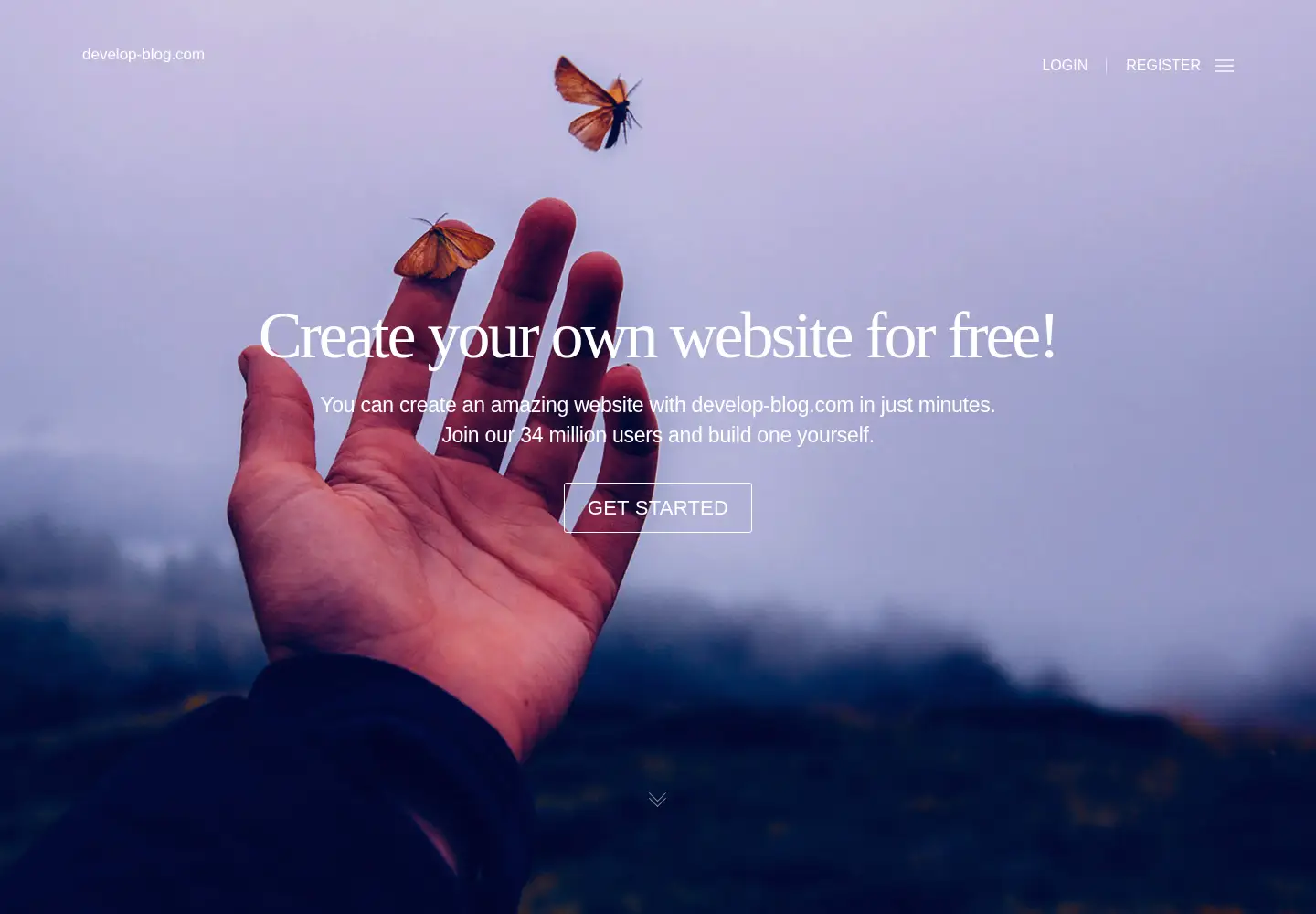 Screenshot of develop-blog.com