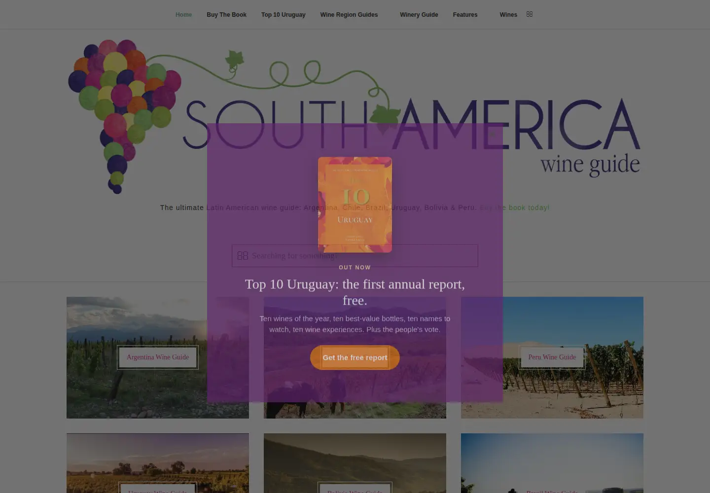 Captured homepage of southamericawineguide.com in the current scan