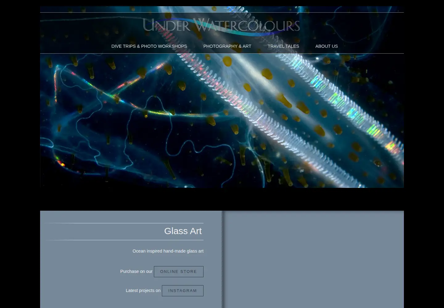 Captured homepage of underwatercolours.com in the current scan