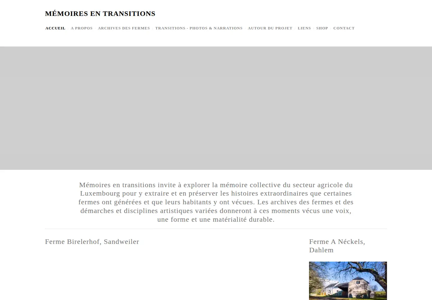Screenshot of memoiresentransitions.lu