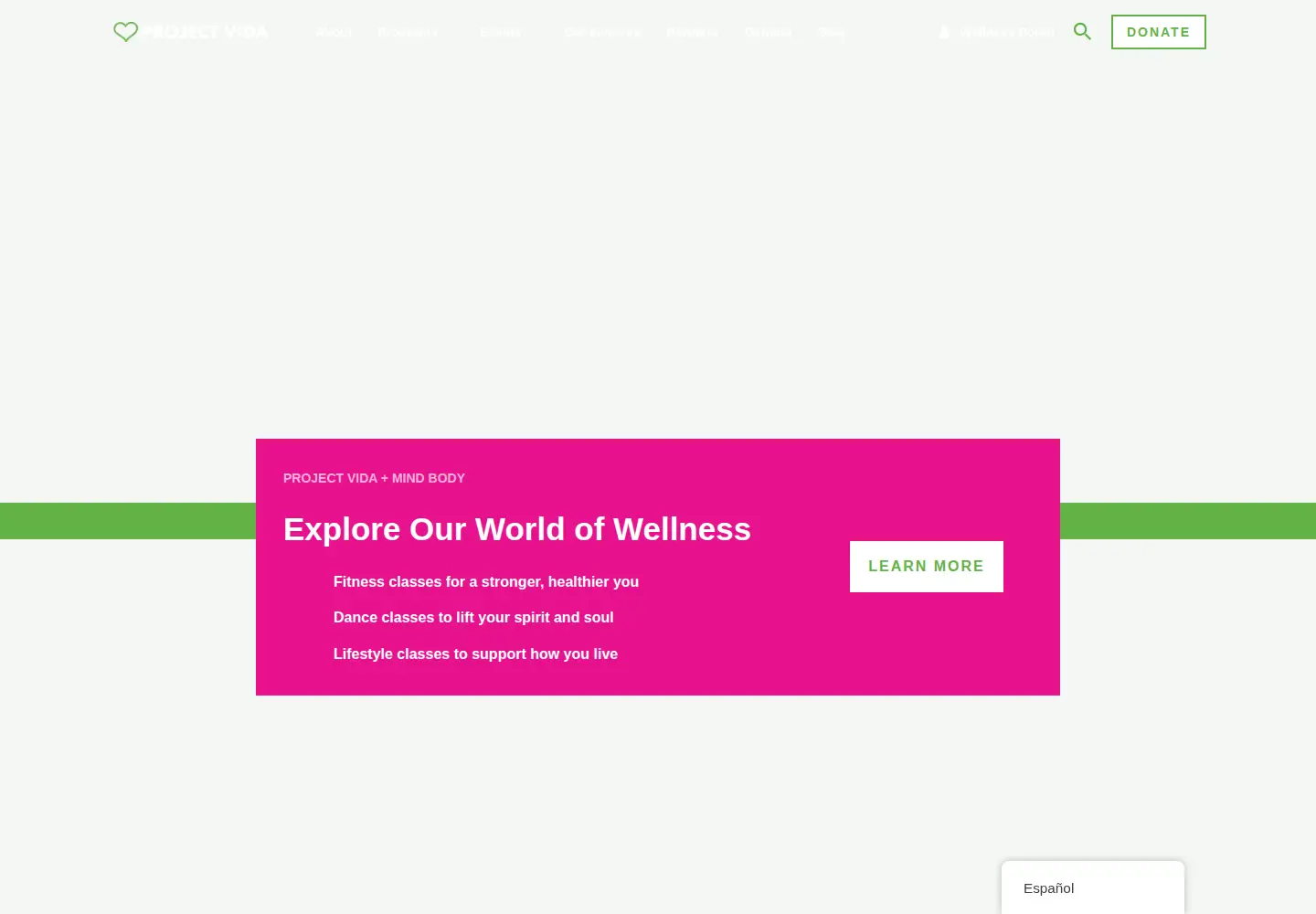Captured homepage of projectvida.org in the current scan