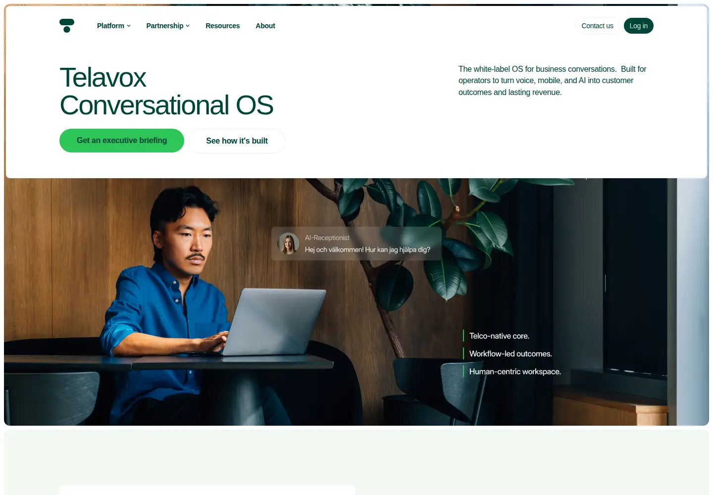 Screenshot of telavox.com