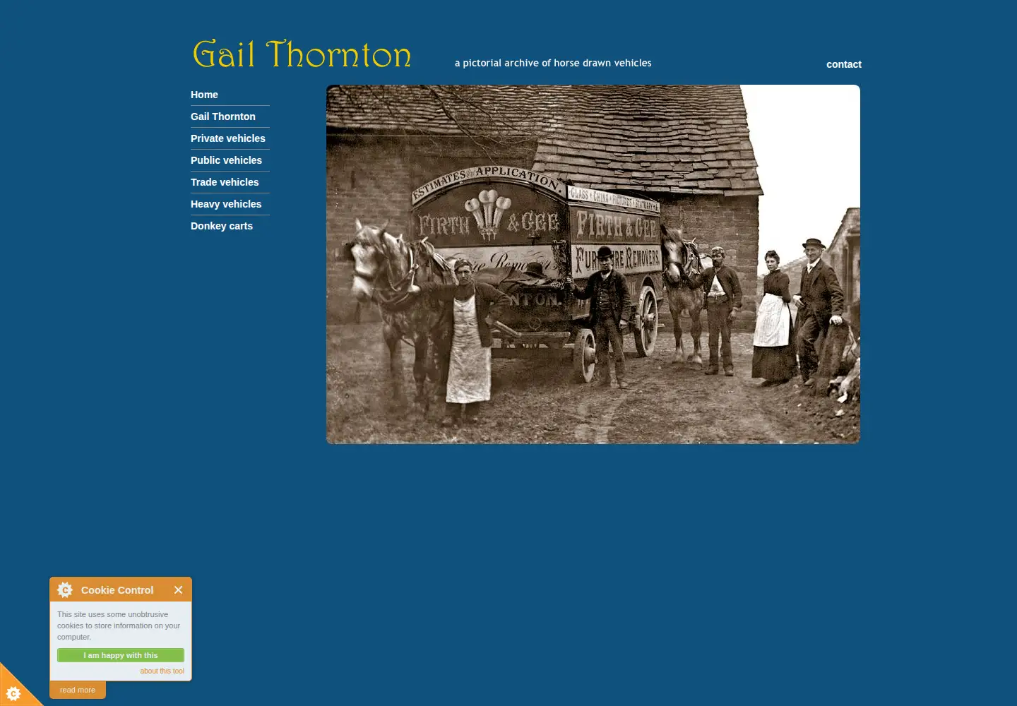Captured homepage of gail-thornton.co.uk in the current scan
