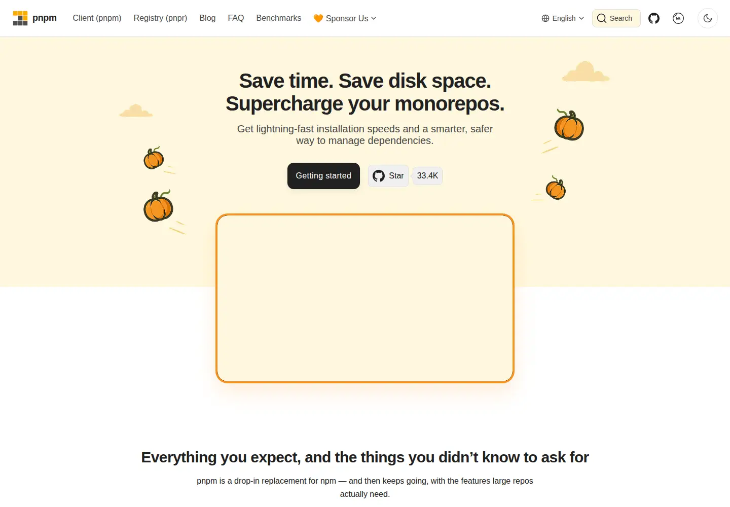 Screenshot of pnpm.io