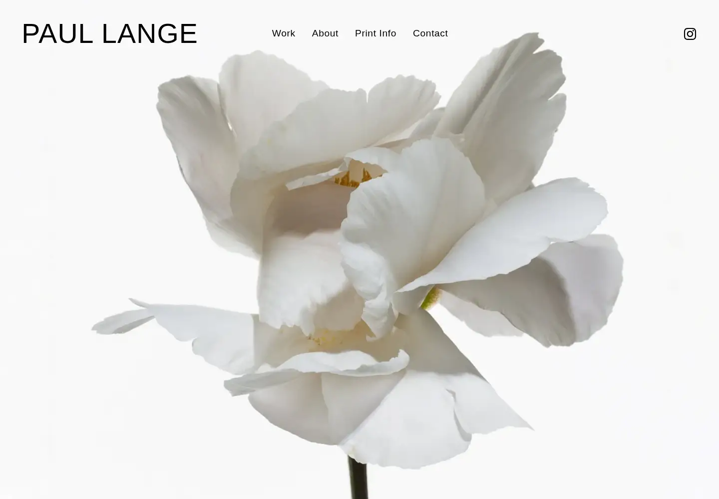 Screenshot of paullange.com